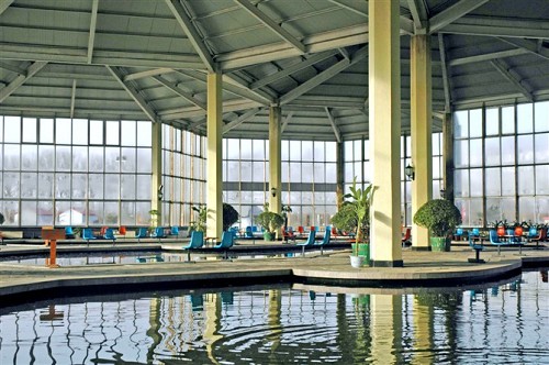 中解奇迹 - 中解奇迹